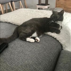 Meet your Posher, Daria